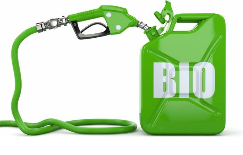 Regulación para los biocombustibles