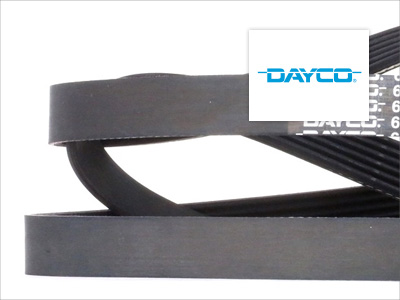 Descripción de Producto Dayco: Correas Poly V para comando de accesorios