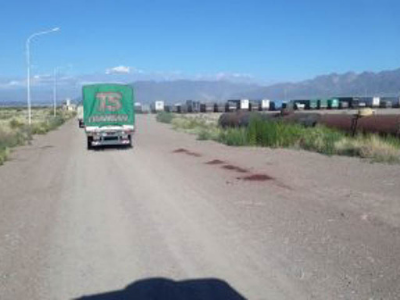 El Gobierno Argentino interviene en la crisis por los camiones demorados en la frontera con Chile