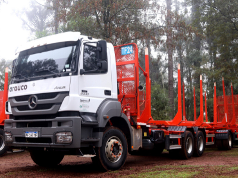 Camiones Mercedes-Benz para la industria forestal