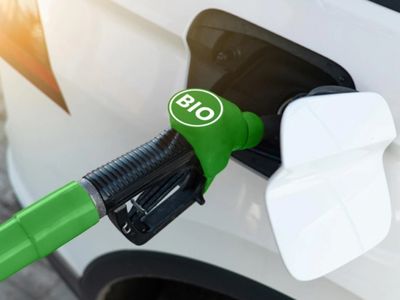 EEUU planea aumentar 10% el uso de biocombustibles