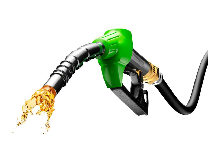 Biocombustibles: la estrategia económica para el agro