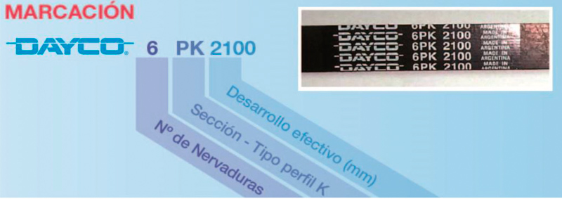 Dayco: Correas Poly V para comando de accesorios