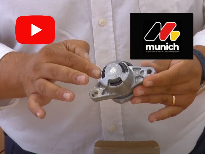 Tensores de Correa Munich para Peugeot