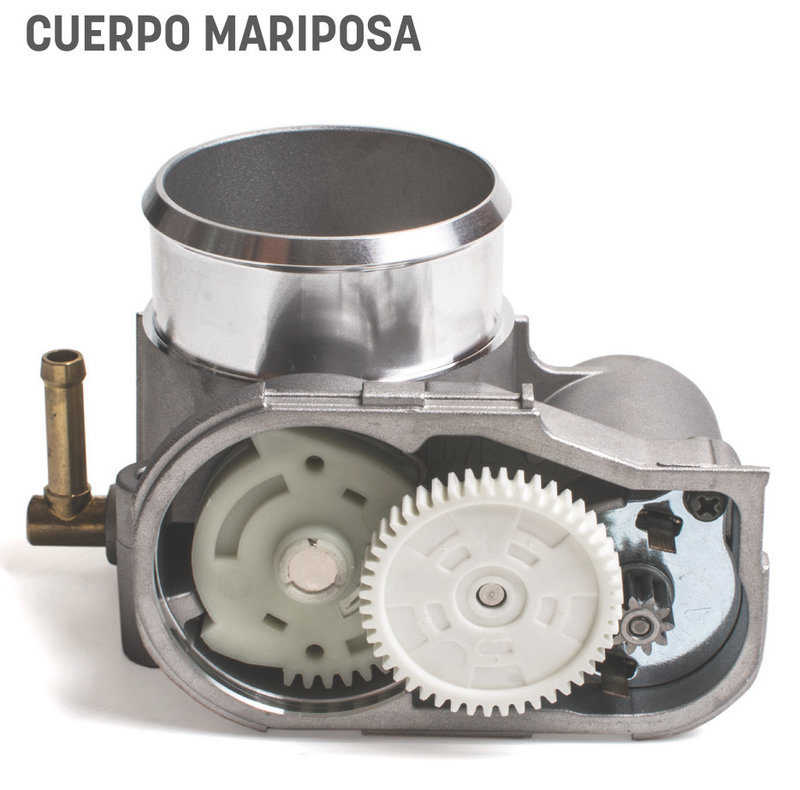 Cuerpo Mariposa: características y funcionamiento