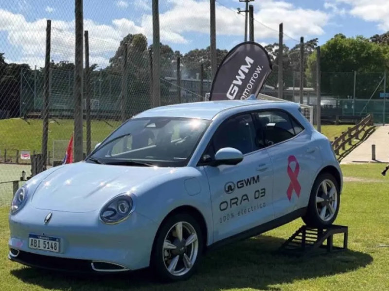 GWM apoyó una jornada solidaria