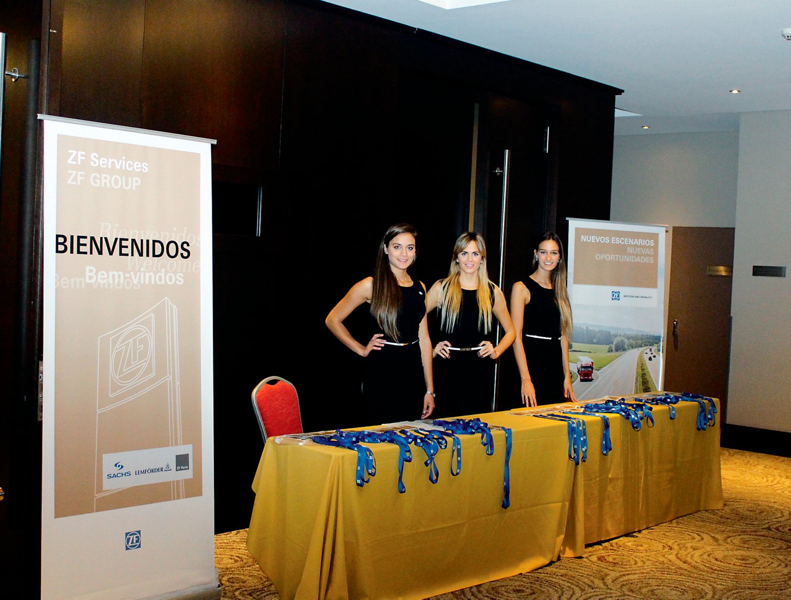 nya-76-zf-service-lanzo-su-marca-lemforder-02