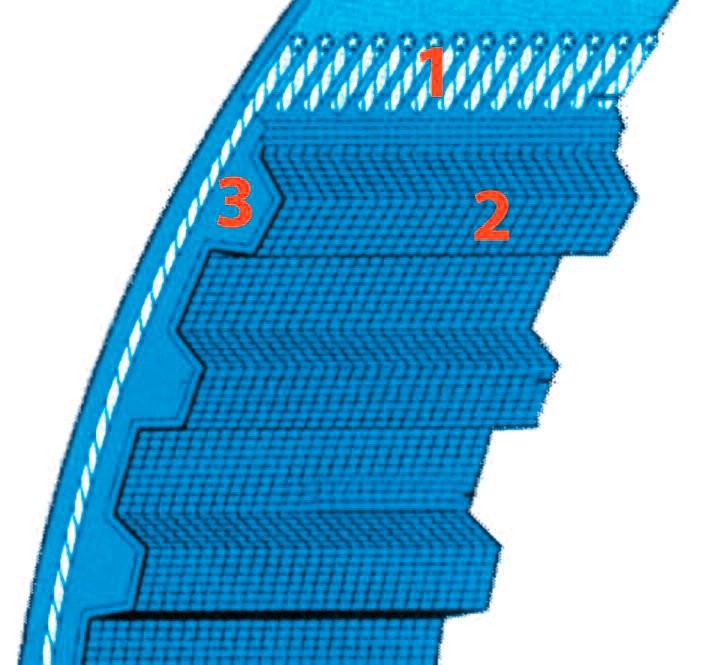 tap-147-correa-sincronica-02