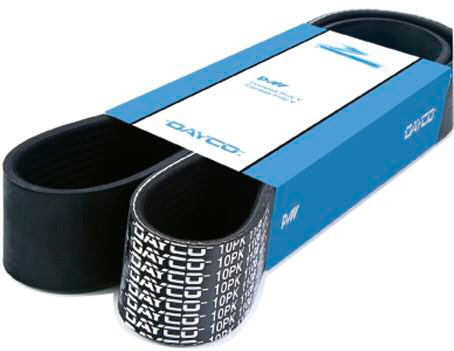 tap-150-correas-poly-v-01