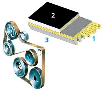 tap-150-correas-poly-v-02