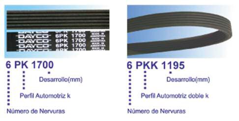 tap-150-correas-poly-v-03