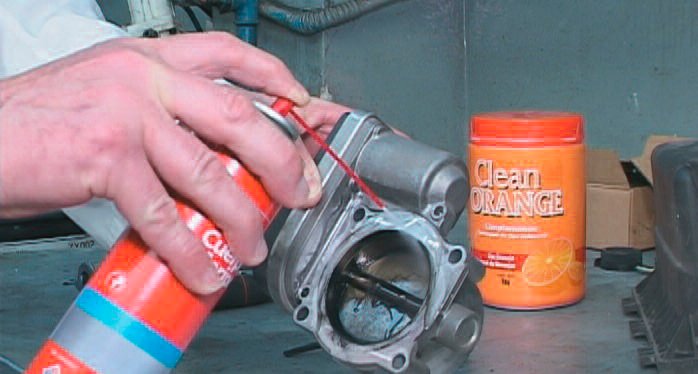 tap-152-limpiador-de-cuerpo-de-mariposa-01