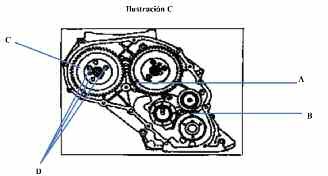 tap-159-correas-118sp-300h-aplicacion-motor-maxion-01