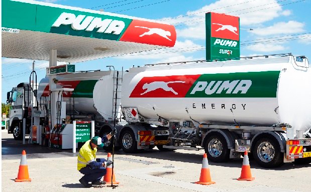 est-50-empresa-holandesa-estudia-relanzar-la-nafta-puma-en-el-mercado-argentino-01