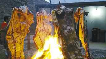 tap-163-charla-en-san-carlos-sobre-el-renovado-porfolio-de-productos-luk-02