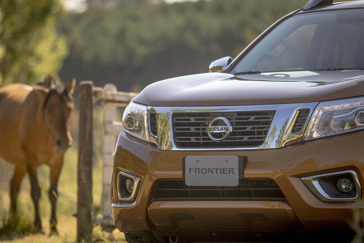 2018-07-13-nissan-frontier-en-argentina-avanza-a-su-ultima-etapa-de-preproduccion-03