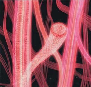2018-11-02-la-fibra-de-carbono-almacena-electricidad-3-03