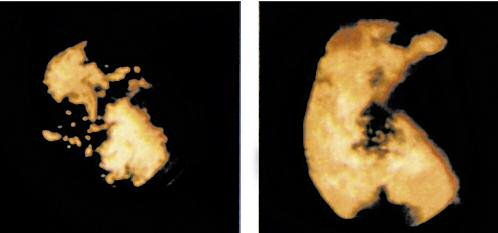 2018-12-07-combustion-basica-diesel-03