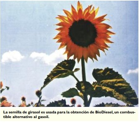 2019-02-01-combustibles-y-combustion-glosario-02