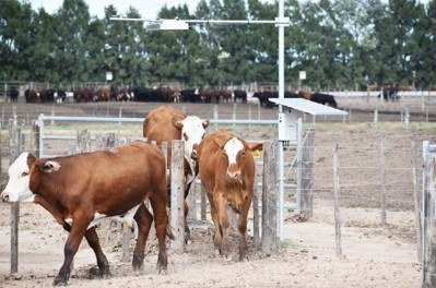 2019-06-07-bosch-crecimiento-de-ventas-en-latinoamerica-durante-2018-05