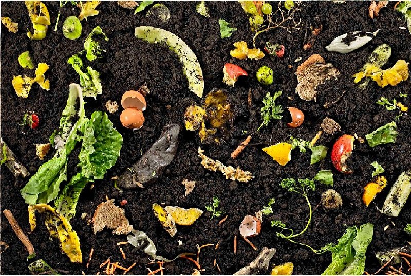 El Valor del tratamiento, traslado y deposición final de los residuos