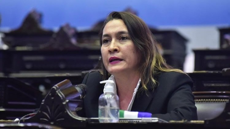 Apoyan iniciativas que se están generando desde Diputados