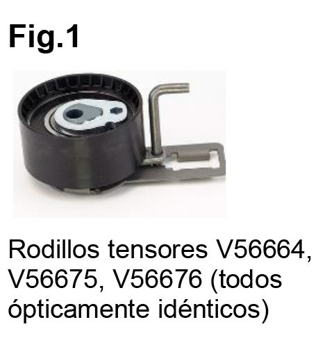 Pagano, descripción de producto Continental