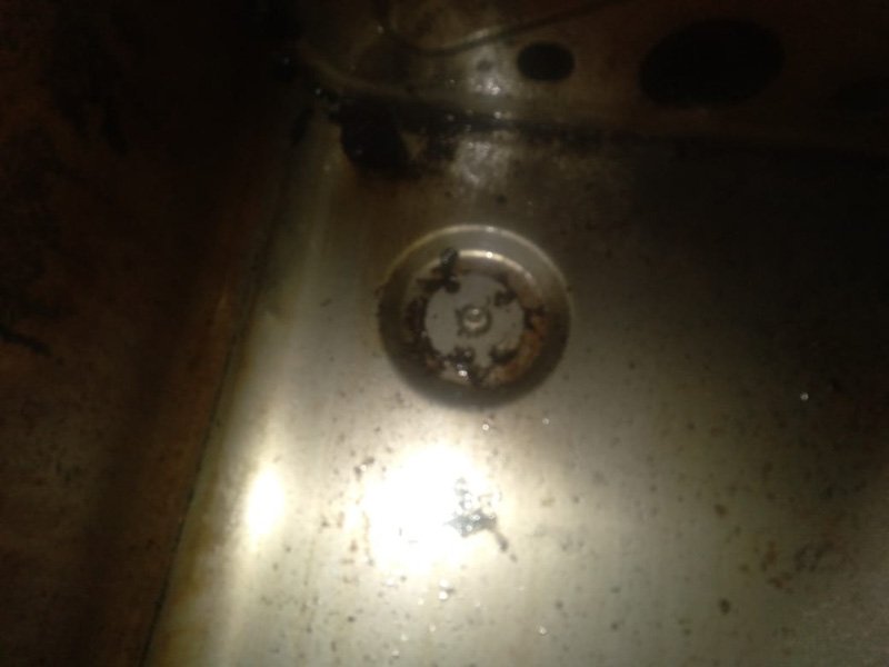 Instructivo Circuit Zolder: Biodiesel