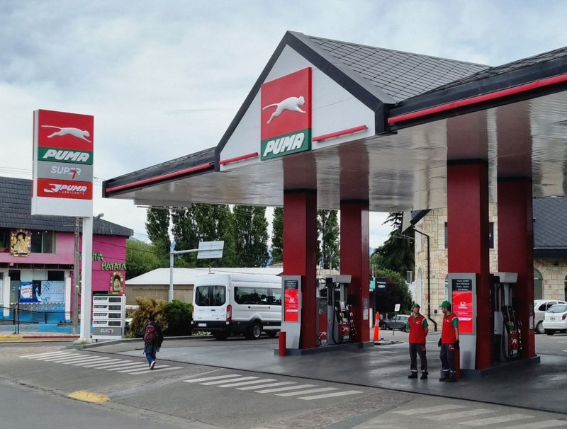 Puma Ñireco de Bariloche