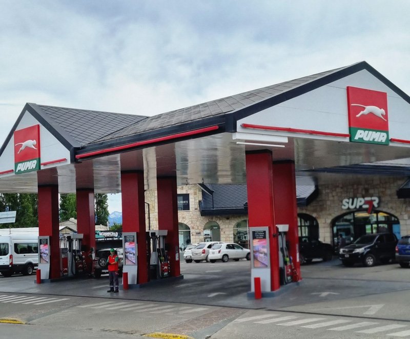 Puma Ñireco de Bariloche