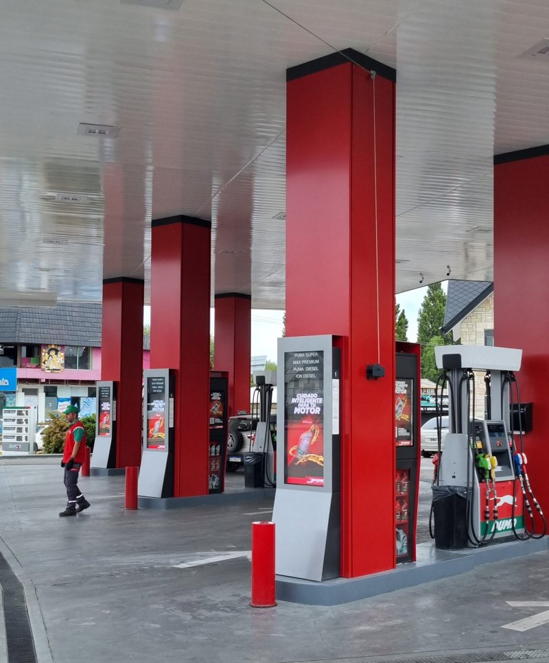 Puma Ñireco de Bariloche