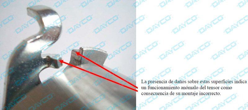 Dayco Kit de distribución KTB 221