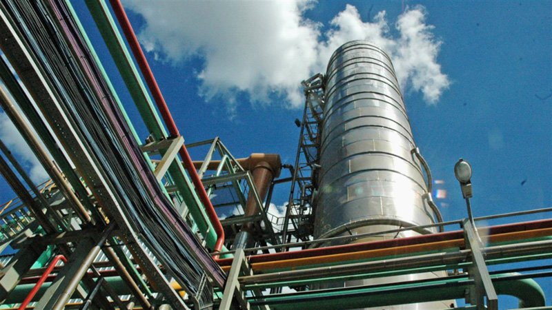 Decepción de productores de biodiesel 