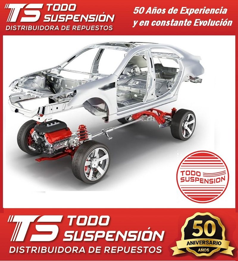 Todo Suspensión 50 Años 