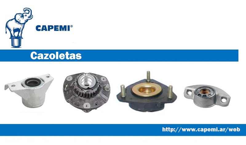 Descripción de productos CAPEMI