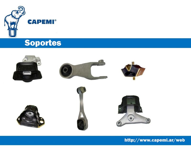 Descripción de productos CAPEMI