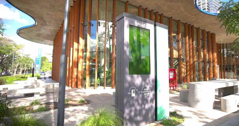 El dispositivo Y-ALGAE