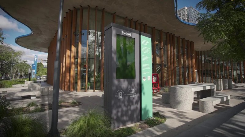 El dispositivo Y-ALGAE