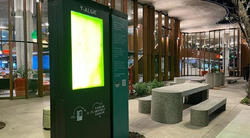 El dispositivo Y-ALGAE