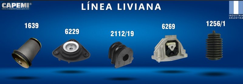 Nueva Página y Catálogo Interactivo CAPEMI