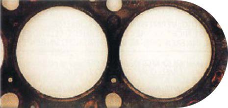 Informes técnicos: Juntas Pampa