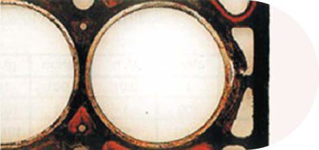 Informes técnicos: Juntas Pampa