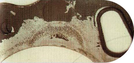 Informes técnicos: Juntas Pampa