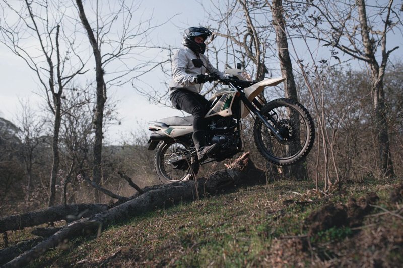 Ficha Técnica: Motomel SKUA 150 V6