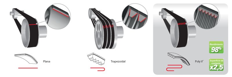 Descripción de producto Alfa Rodamientos: Correa Poly-v