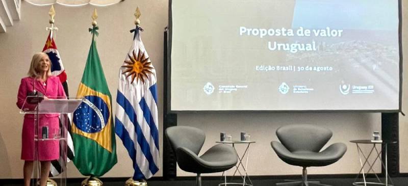 Hub de innovación y oportunidades de inversión