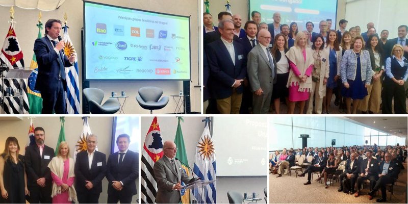 Hub de innovación y oportunidades de inversión