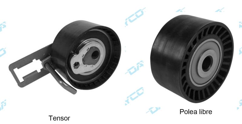 Dayco Kit de distribución KTB959