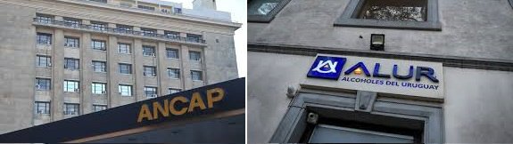 Acuerdo histórico para producir combustibles sostenibles