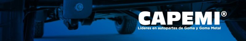 Productos CAPEMI con más de 6.000 items desarrollados